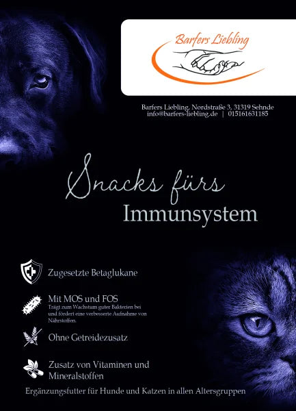 Funktionssnack Immunsystem 70g