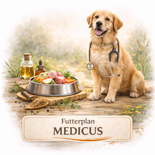 Futterplan Medicus