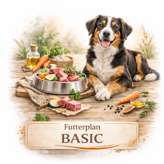 Futterplan Basic