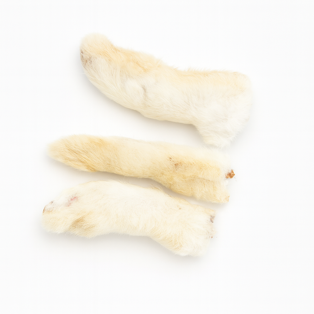 Kaninchenlauf getrocknet