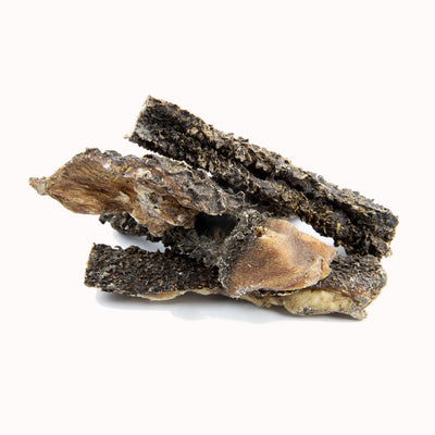 Rinderpansen getrocknet 500g (Futterfreunde)