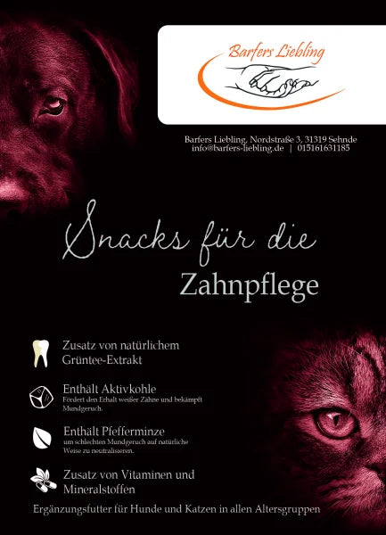 Funktionssnack Zähne 70g