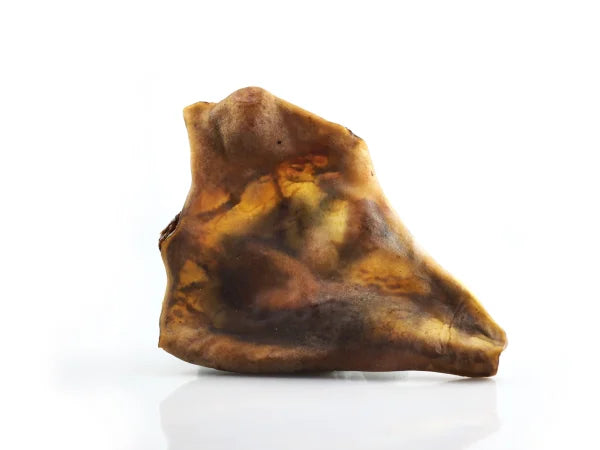 Pferdekopfhautplatte getrocknet