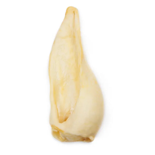 Ziegenohr getrocknet